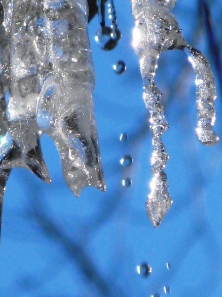 Весенняя капель