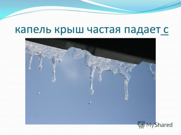 Звенит капель