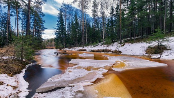 Весенняя река