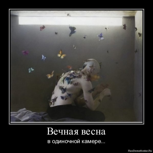 Весна в одиночной камере