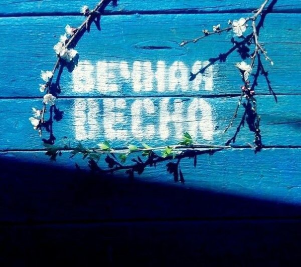 Весна в одиночной камере