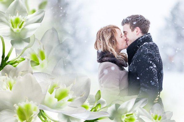 Влюбленные подснежники