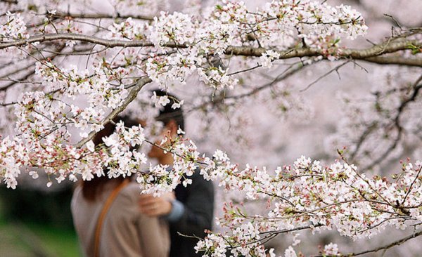 Ранняя Весна любовь