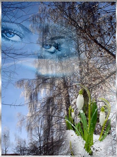 Цветы на пороге