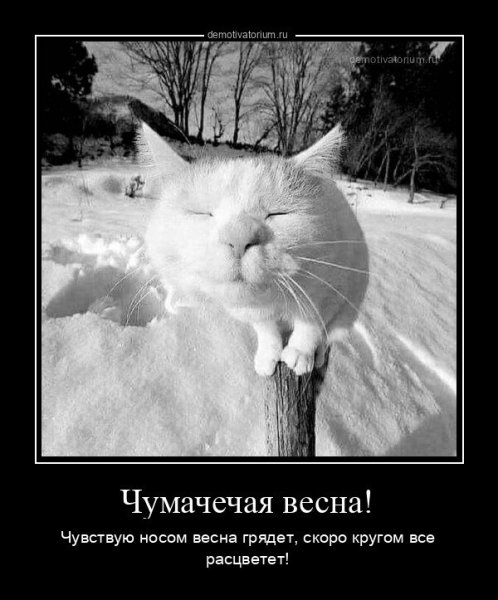 Чумачечая Весна прикол
