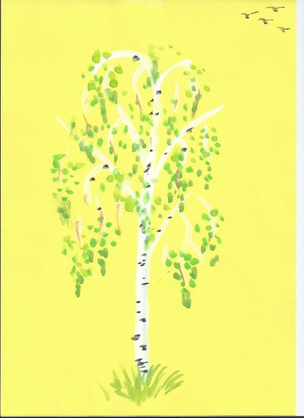 Береза рисунок для детей на прозрачном фоне