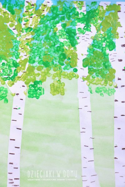 Ива ольха осина клен