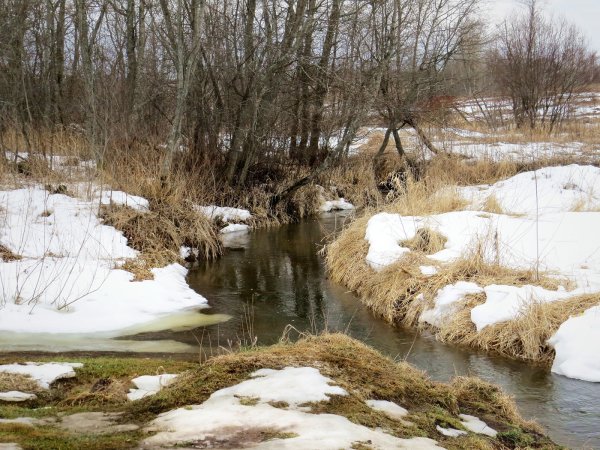 Весна журчание ручьёв