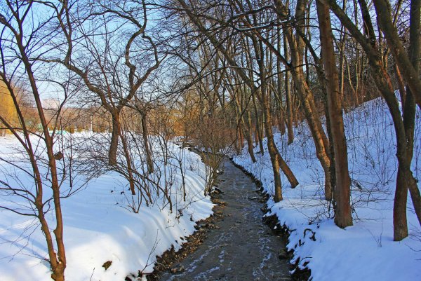 Журчат ручьи