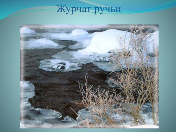 Журчащий весенний ручей