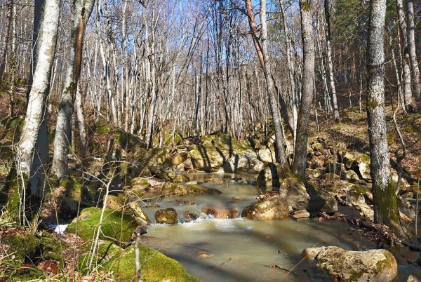 Щербаков Борис Журчат ручьи
