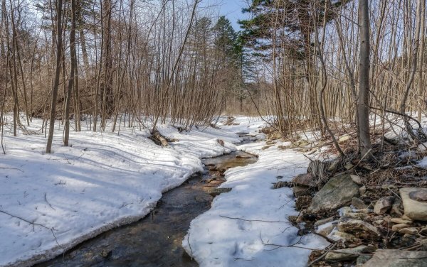 Журчащий весенний ручей