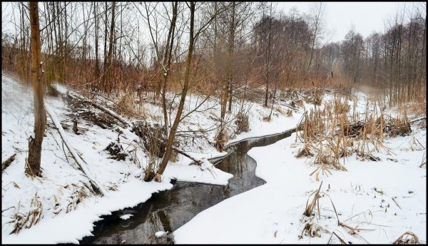 Тает снег бегут ручьи
