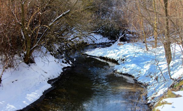 Журчащий весенний ручей