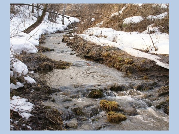 Федор Тютчев весенние воды
