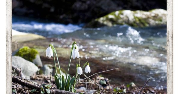 Весенние ручьи