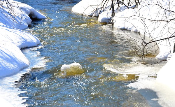 Смоленский ручей