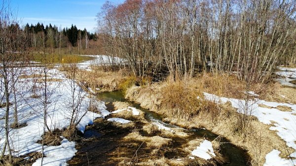 Весна на Кольском
