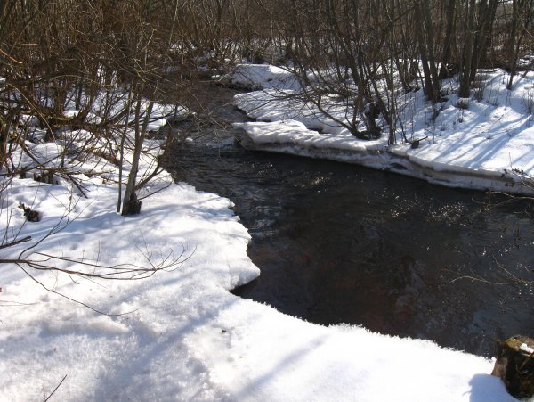 Журчат ручьи