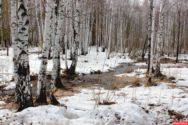 Журчание ручья