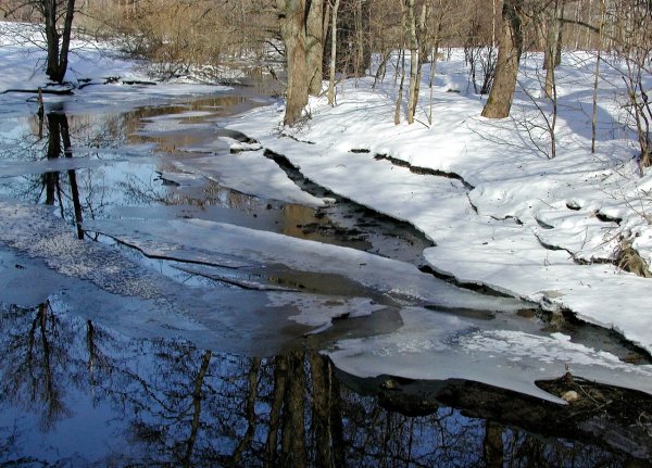 Б.Щербаков «Журчат ручьи весенние»