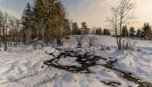 Тает снег бегут ручьи