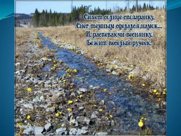 Весна ручьи подснежники