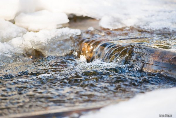 Тает снег бегут ручьи
