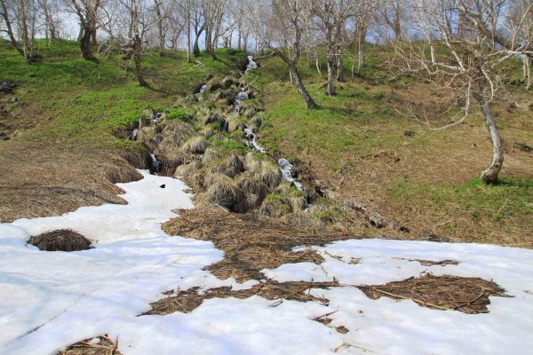 Журчание ручейка