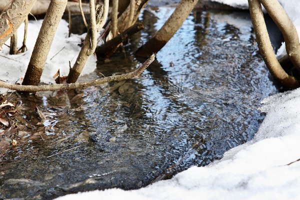 Бегут ручьи