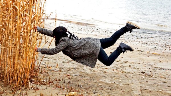 Кот на ветру