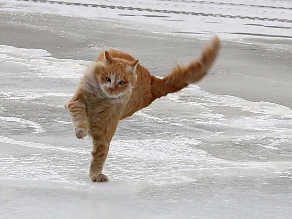 Сильный ветер прикол