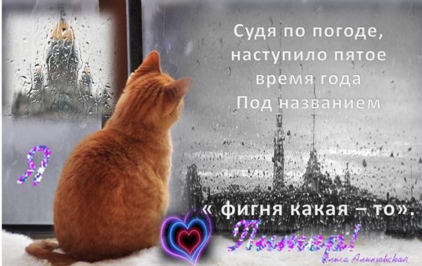 Доброе утро в дождливую погоду