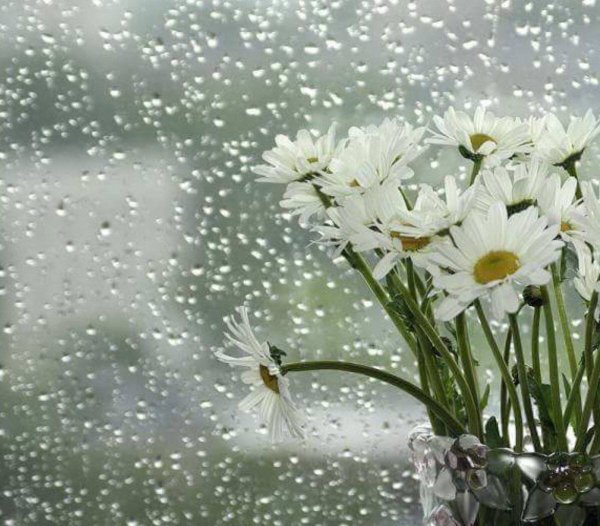 С первым весенним вечером