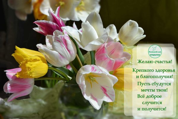 Доброе утро желтые тюльпаны