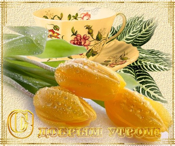 Открытки с добрым утром весенние