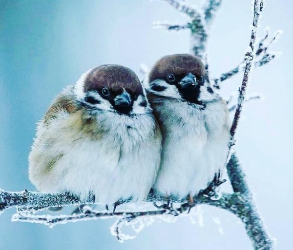 Доброе утро/ весны в ДКГЕ