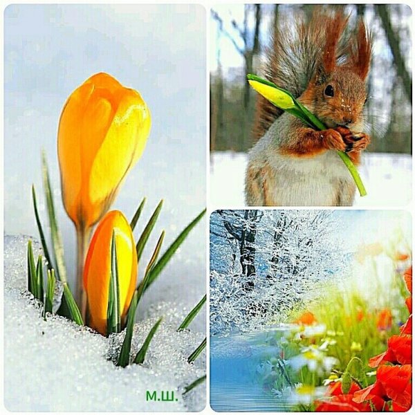 Утро ранней весны