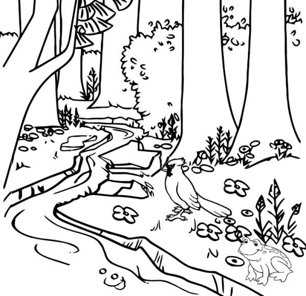 Раскраски ручеёк, Раскраска Ручеек в лесу ручей.