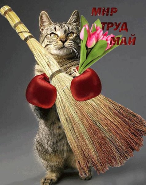 Мир труд май