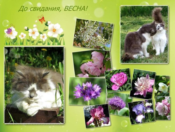 Весенний коллаж
