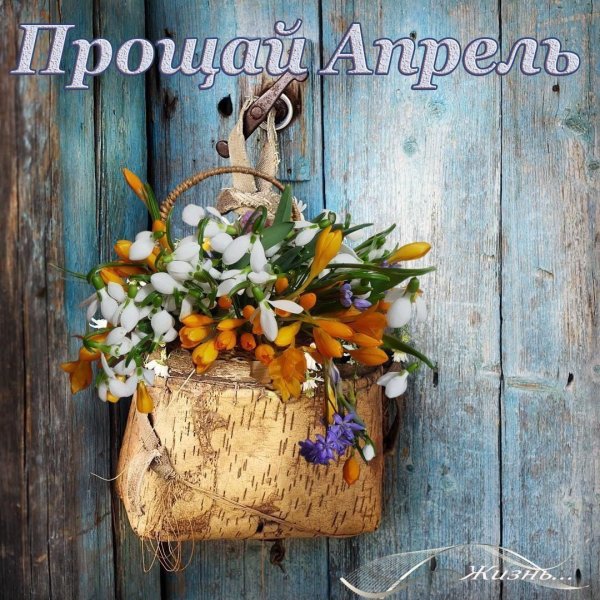 Прощаемся с летом