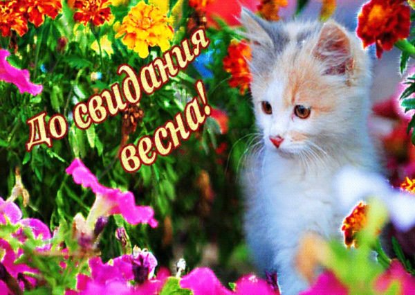 Прощай красавица Весна