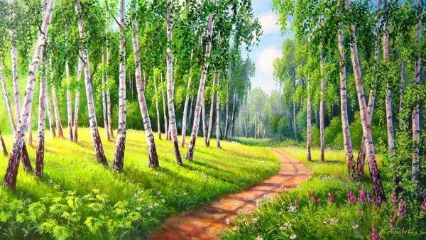 Береза векторный рисунок