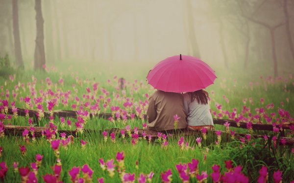 Природа красота романтика