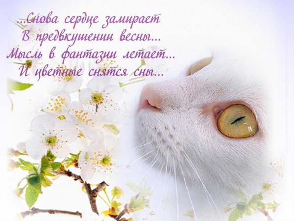 Первый день весны стихи