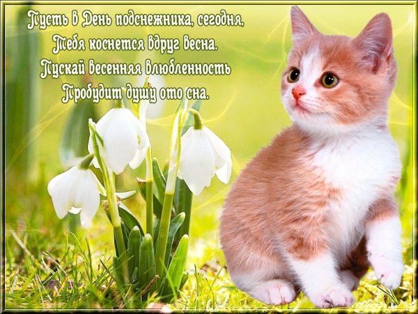С днем подснежника открытки