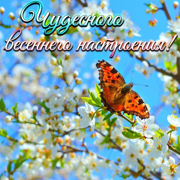Доброго воскресного дня Весна