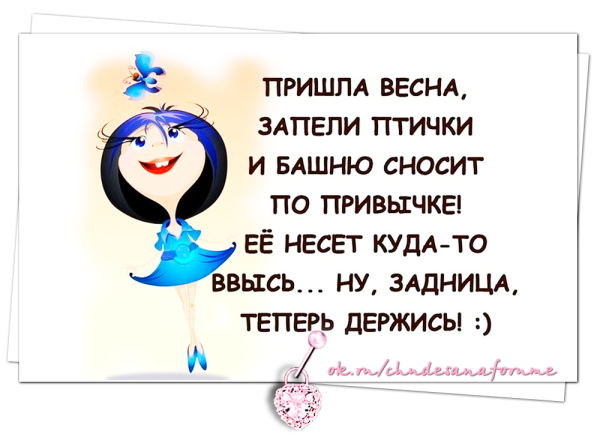 Весенний котик