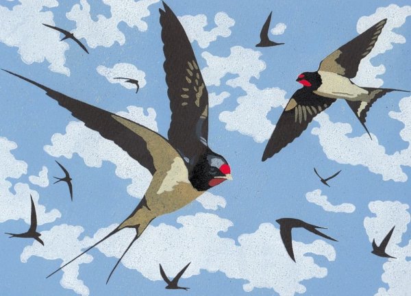 Детский фон Ласточка